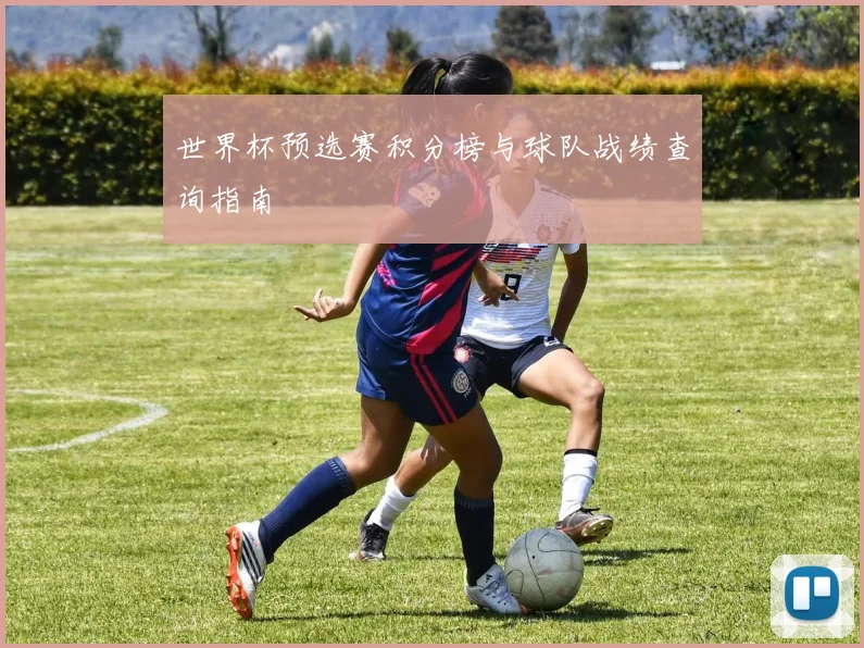 世界杯预选赛积分榜与球队战绩查询指南