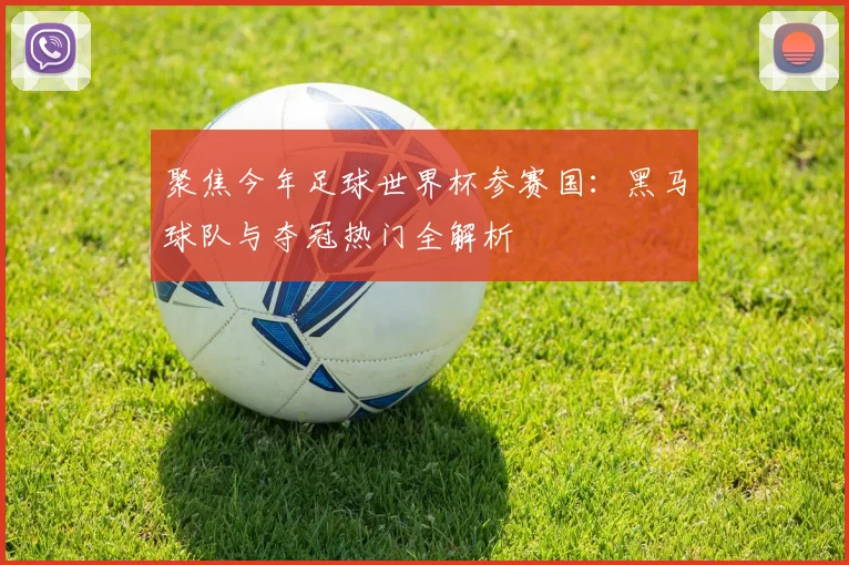 聚焦今年足球世界杯参赛国：黑马球队与夺冠热门全解析