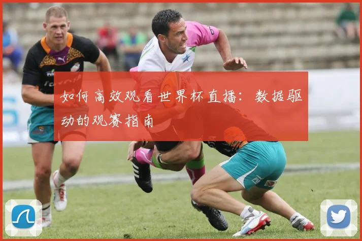 如何高效观看世界杯直播：数据驱动的观赛指南
