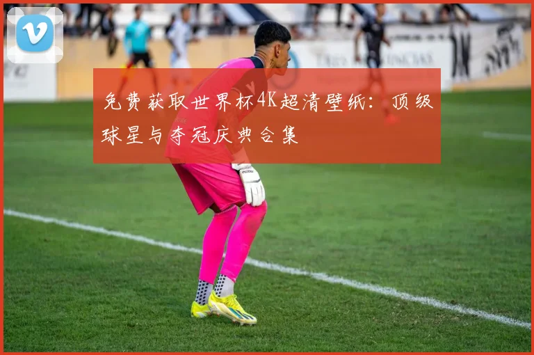 免费获取世界杯4K超清壁纸：顶级球星与夺冠庆典合集