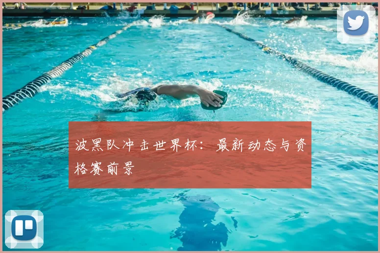 波黑队冲击世界杯：最新动态与资格赛前景