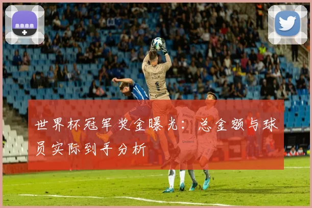 世界杯冠军奖金曝光：总金额与球员实际到手分析