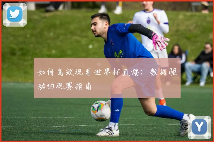 如何高效观看世界杯直播：数据驱动的观赛指南