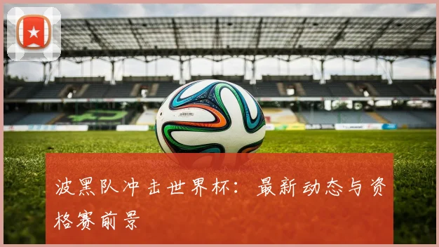 波黑队冲击世界杯：最新动态与资格赛前景