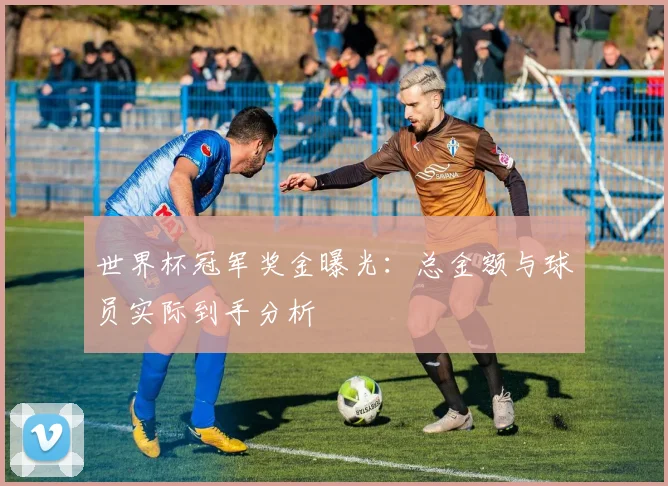 世界杯冠军奖金曝光：总金额与球员实际到手分析